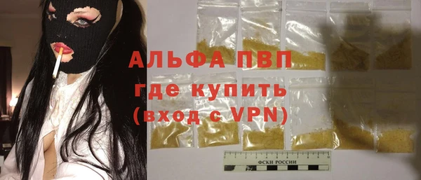 сатива Арсеньев