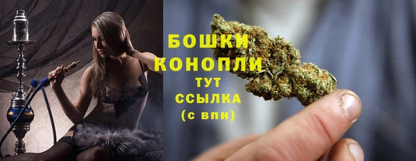 сатива Арсеньев