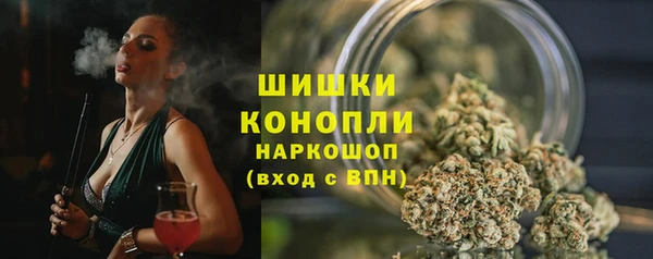 сатива Арсеньев